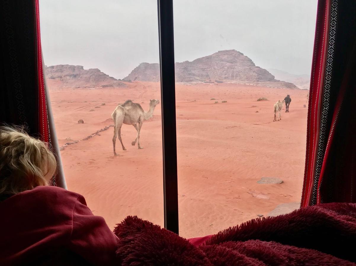 Wadi Rum Starlight Camp Eksteriør bilde